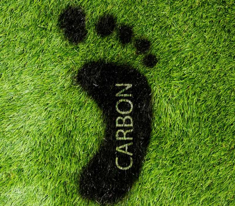 The Carbon Border Adjustment Mechanism (CBAM)