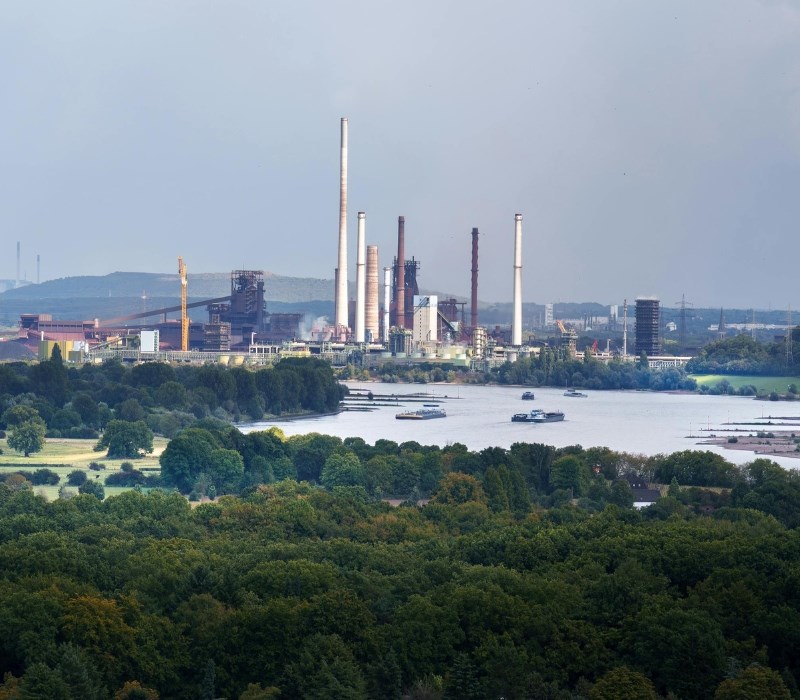 Planting trees in industrial factory areas