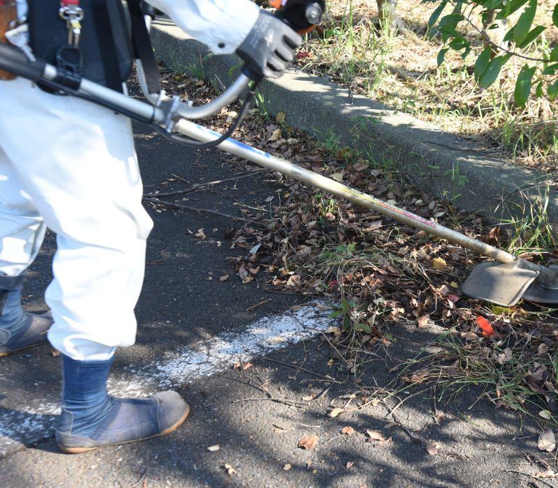 Cleaning and maintaining the factory landscape