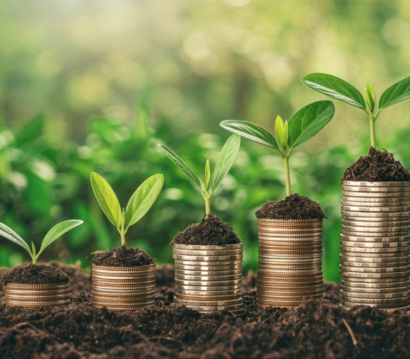 Dong Nai attracts green investment